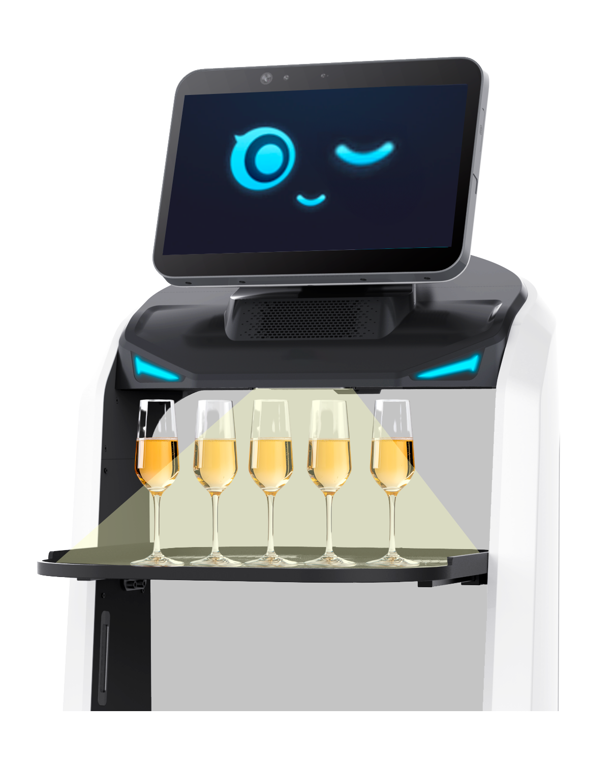 ZOX Robotics CARRY robot